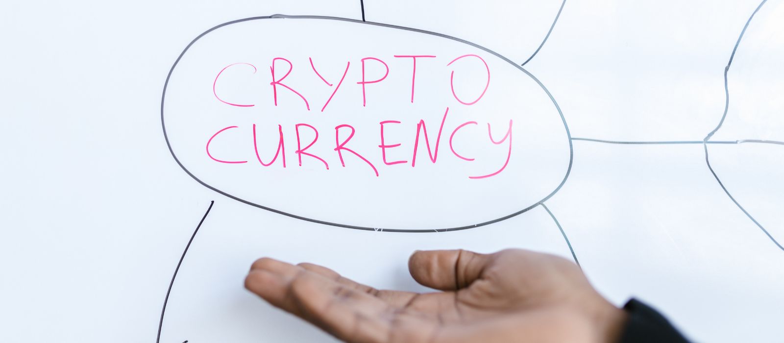Which Cryptocurrencies Offer the Greatest Opportunities for Financial Gains